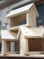 IMG_9888